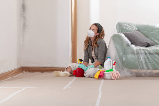 Reliable Mold Remediation contractor in Auburndale, FL by WQB Mold Removal